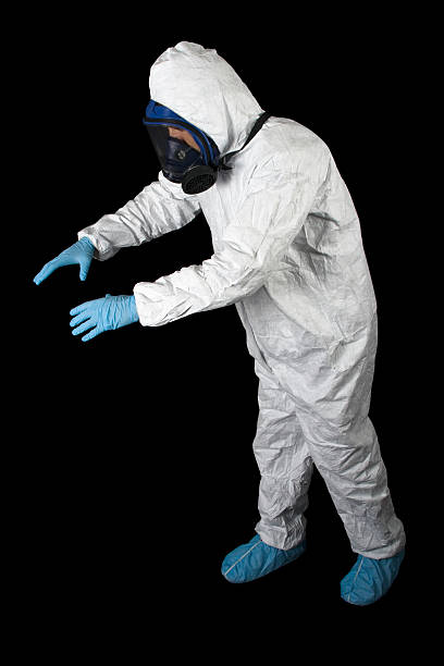 Best Asbestos and Lead Testing During Mold Inspection  in Fort Myers, FL